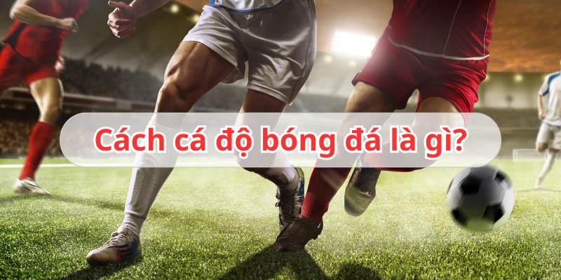 Cá Độ Bóng Bá Trực Tuyến Là Gì Và Có Những Ưu Điểm Ra Sao? 1 Đôi nét thông tin tổng quan về cá độ bóng đá trực tuyến